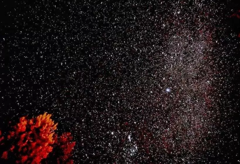 Lomakeskus Lake Ruataniwha Holiday Park