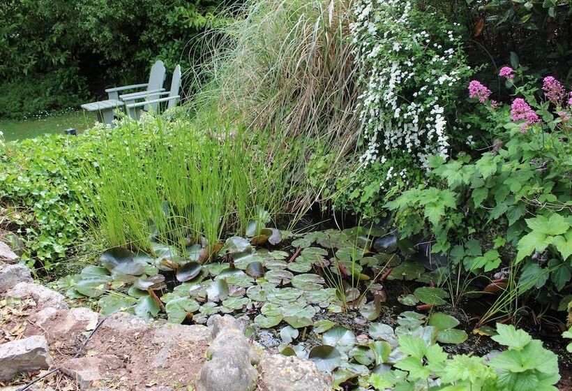 Rose Court Holiday Apartments