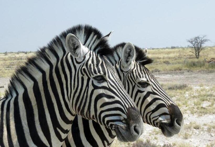 هتل Etosha Safari Camp, Etosha National Park, Namibia