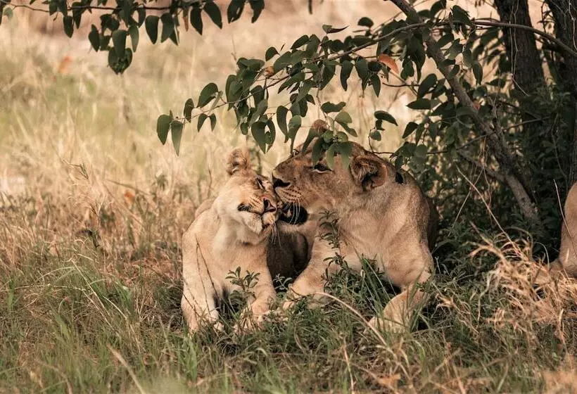 هتل Etosha Safari Camp, Etosha National Park, Namibia