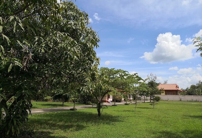 Отель Honeymoon Resort