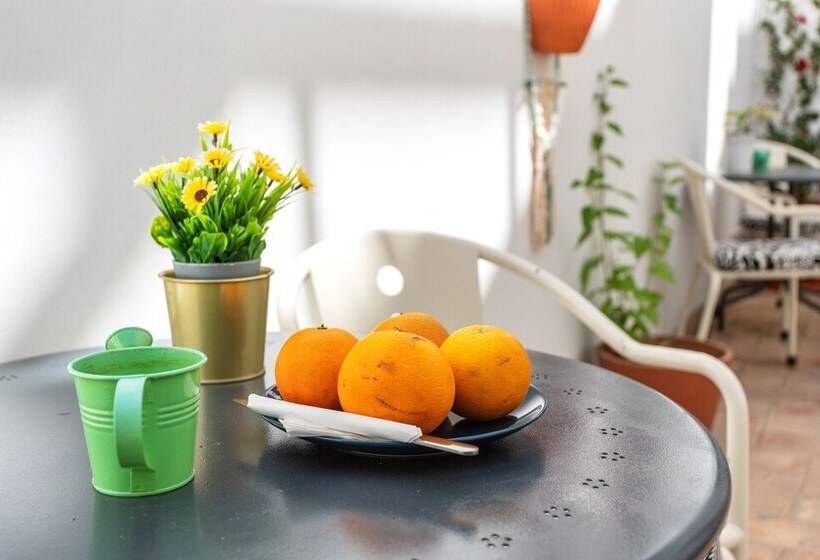 Downtown Alegria B&b