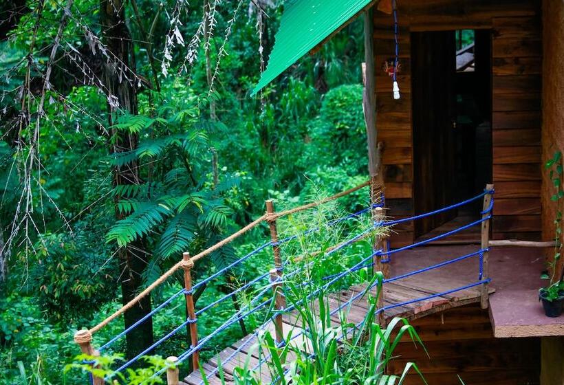 Ella Eco Lodge