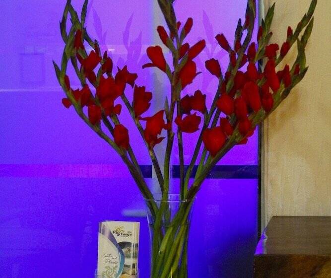 ホテル Careyes Puerto Escondido