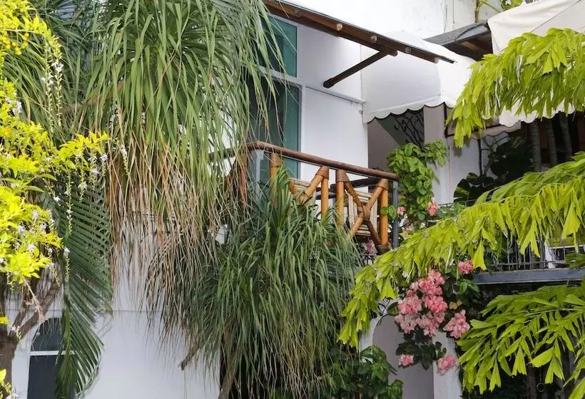ホテル Careyes Puerto Escondido