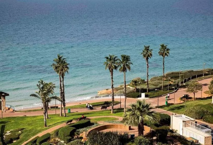 David Tower Hotel Netanya By Prima Hotels   16 Plus