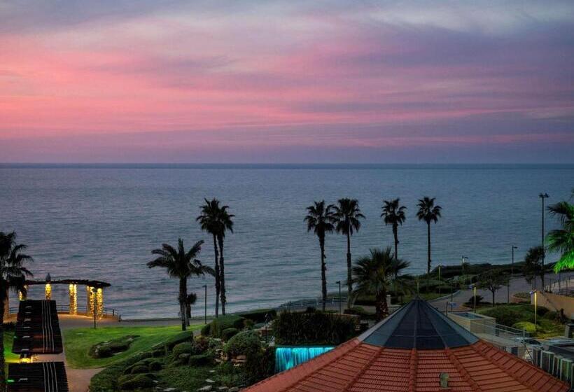 David Tower Hotel Netanya By Prima Hotels   16 Plus