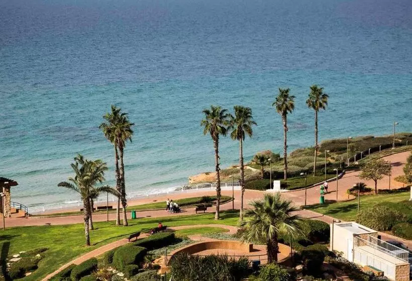 David Tower Hotel Netanya By Prima Hotels   16 Plus