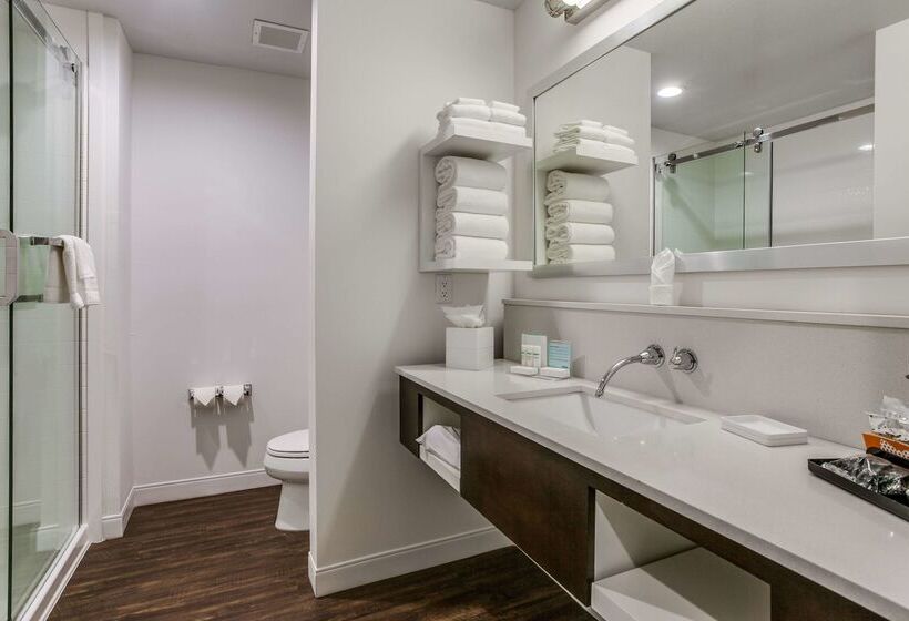 هتل Hampton Inn & Suites North Dallas Central Expy