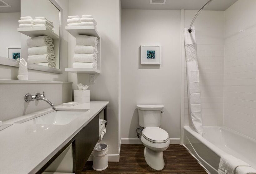 هتل Hampton Inn & Suites North Dallas Central Expy