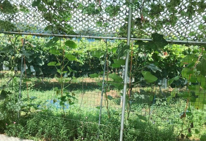 בית מלון כפרי Grand Mercure Zhengzhou West