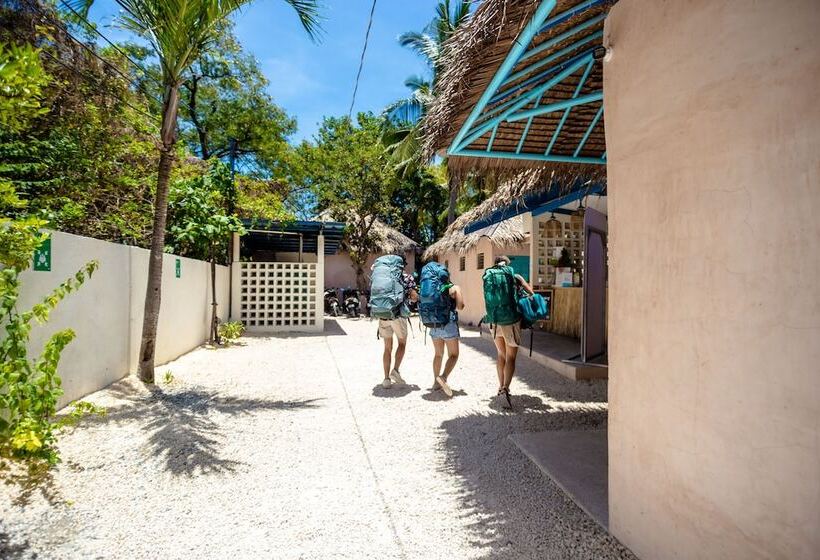 فندق صغير Mad Monkey Panglao