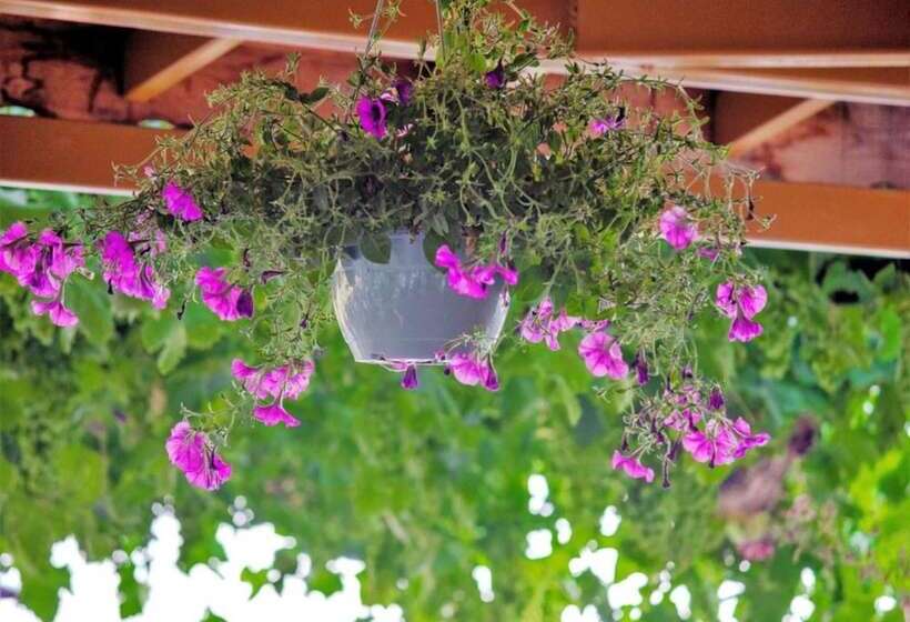 Отель Kabak Misafir Evi