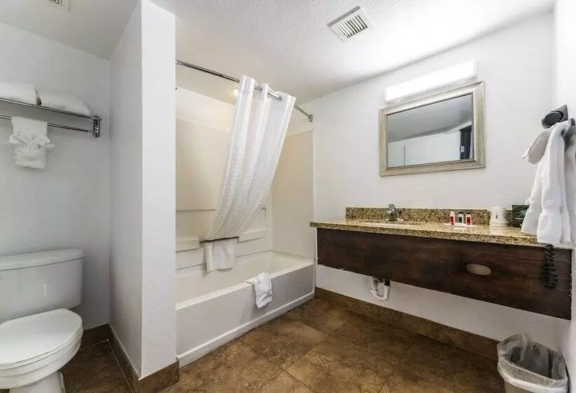 Metro Chandler Apartments