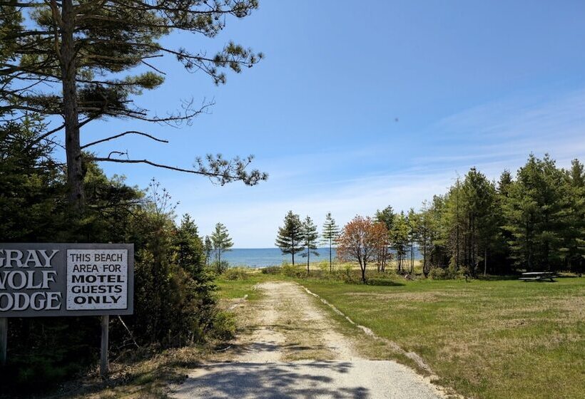 فندق على الطريق Gray Wolf Lodge