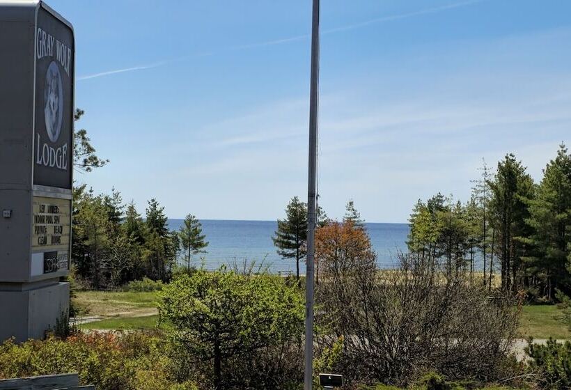 فندق على الطريق Gray Wolf Lodge