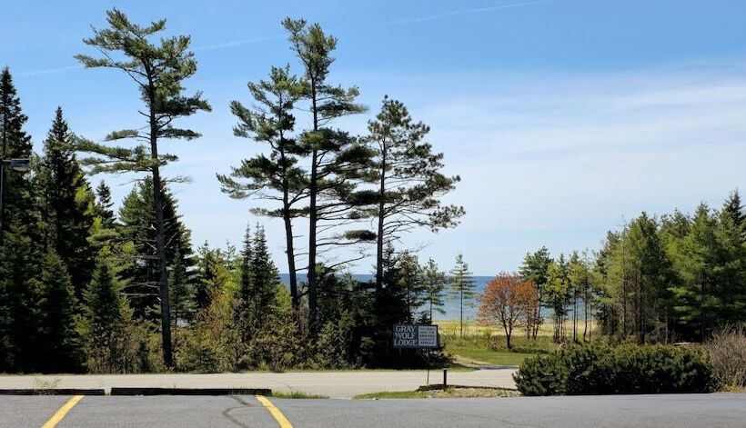 فندق على الطريق Gray Wolf Lodge