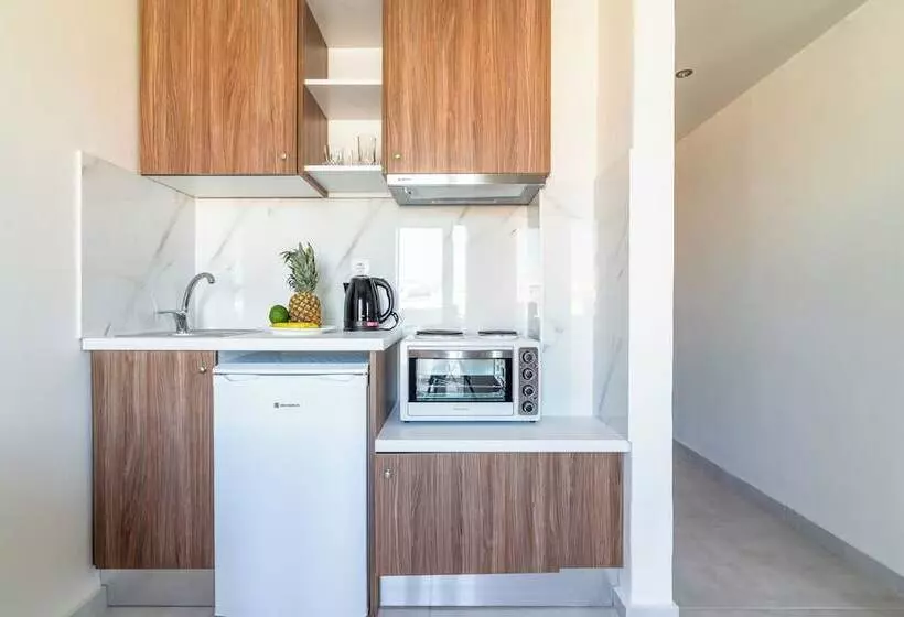 ホテル Asterion Luxury Studios Airport