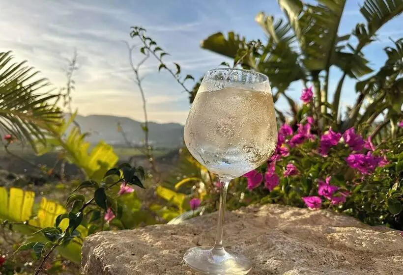 ホテル Cortijo Boutique Siete Calas