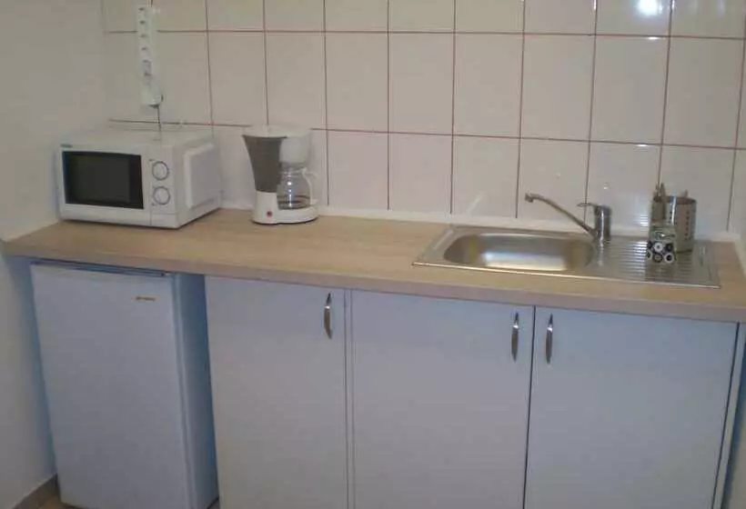 ペンション Cazare Business Transit