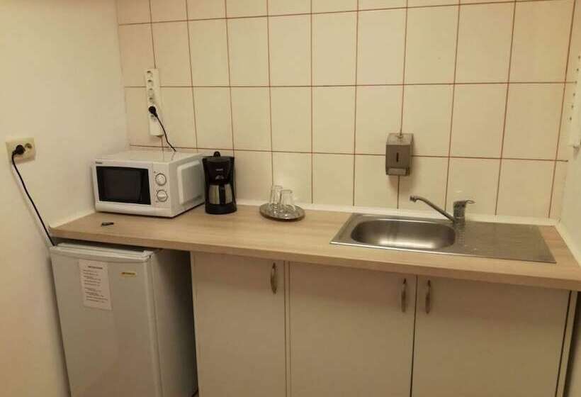 膳宿费 Cazare Business Transit