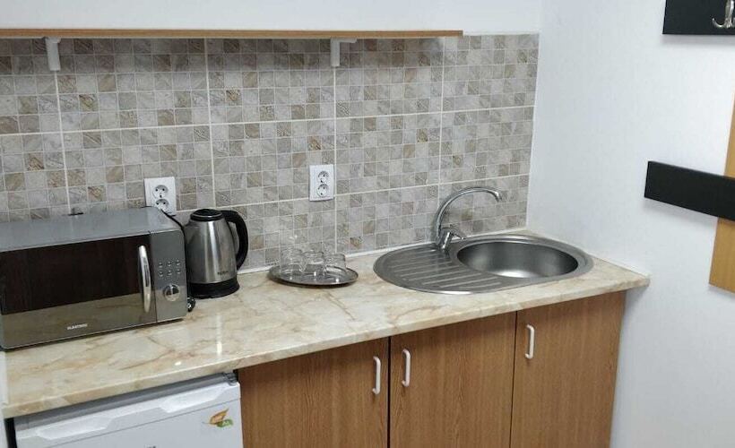 膳宿费 Cazare Business Transit