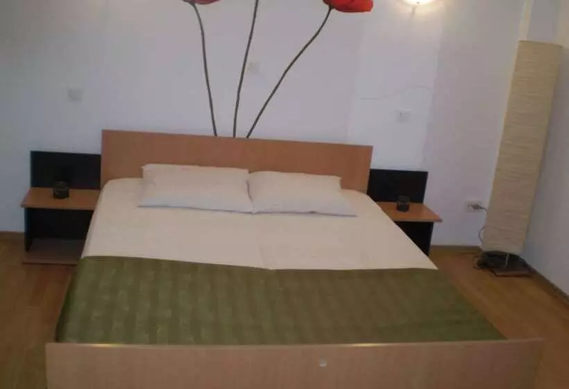 ペンション Cazare Business Transit