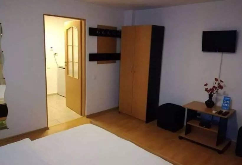 ペンション Cazare Business Transit