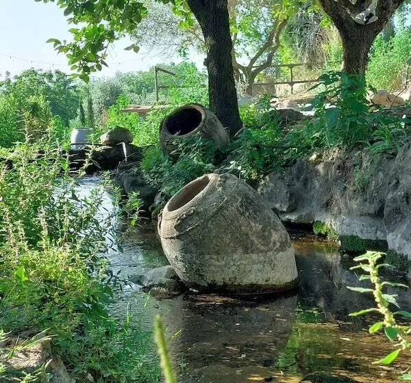 پانسیون Giardini Penelope Resort E Spa