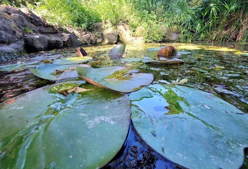 펜션 Giardini Penelope Resort E Spa