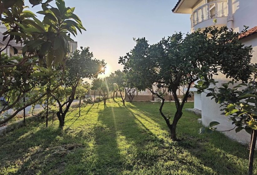 レジデンス Freeman Greenlees Hellenic Garden House