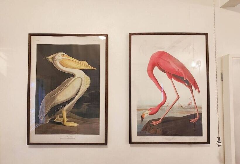 اقامتگاه Victorian Cottage Writers Retreat