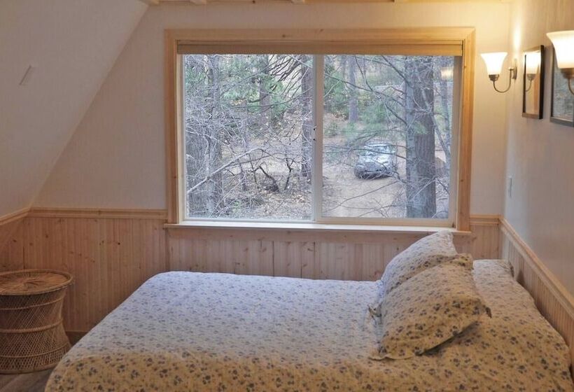 Glorious Summer At Cabin On The Creek