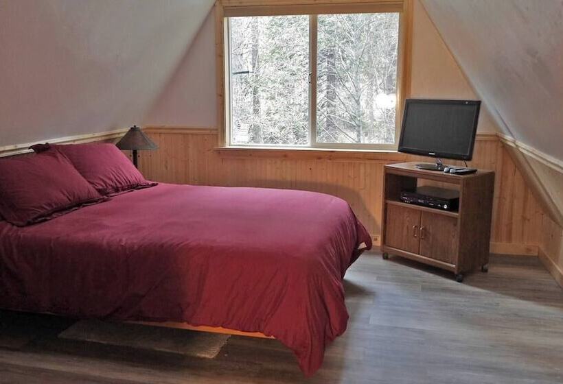 Glorious Summer At Cabin On The Creek