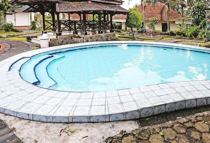 Hotel 171 Inn By Oyo