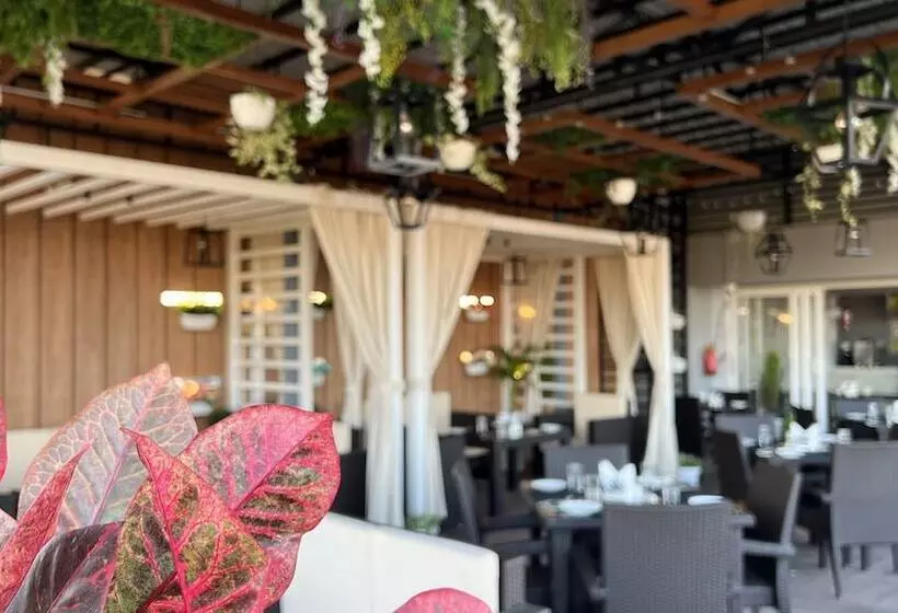 ホテル Aurora Boutique