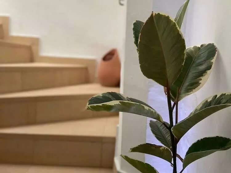 ホテル Casa Africa