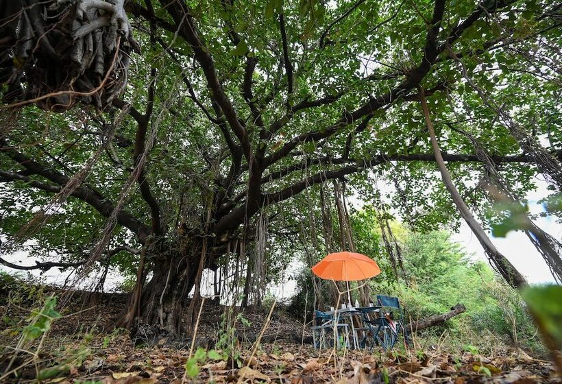 酒店 Clarks Safari Jawai