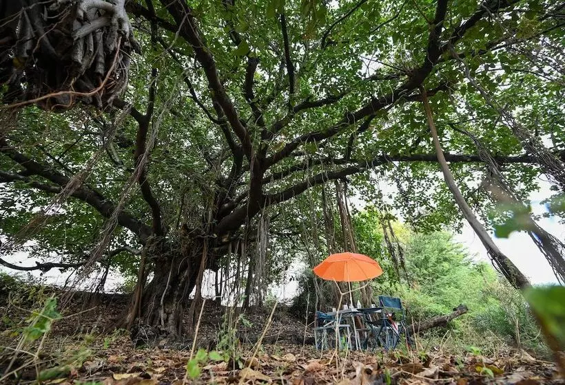 ホテル Clarks Safari Jawai