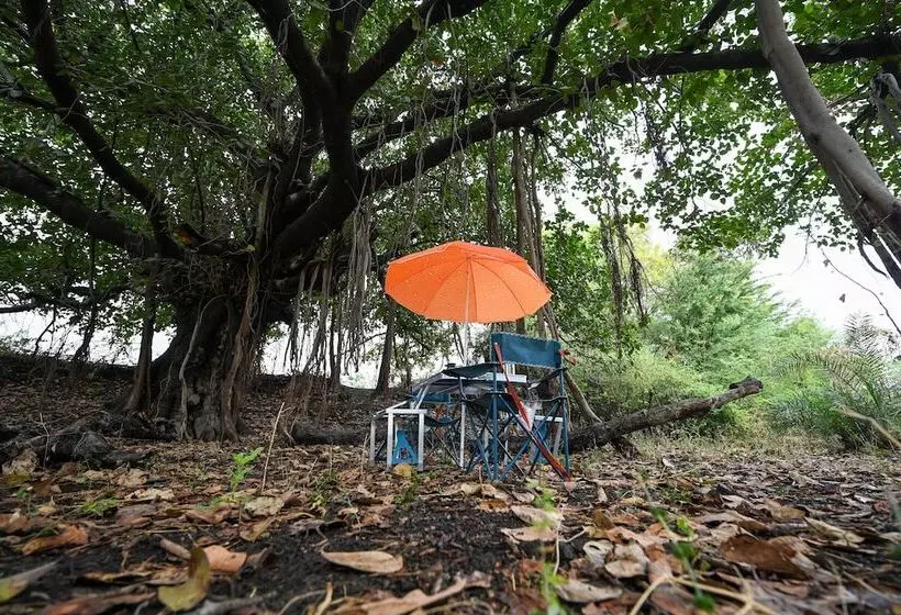 ホテル Clarks Safari Jawai