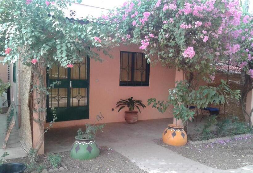 هتل Hôtel Les Palmiers