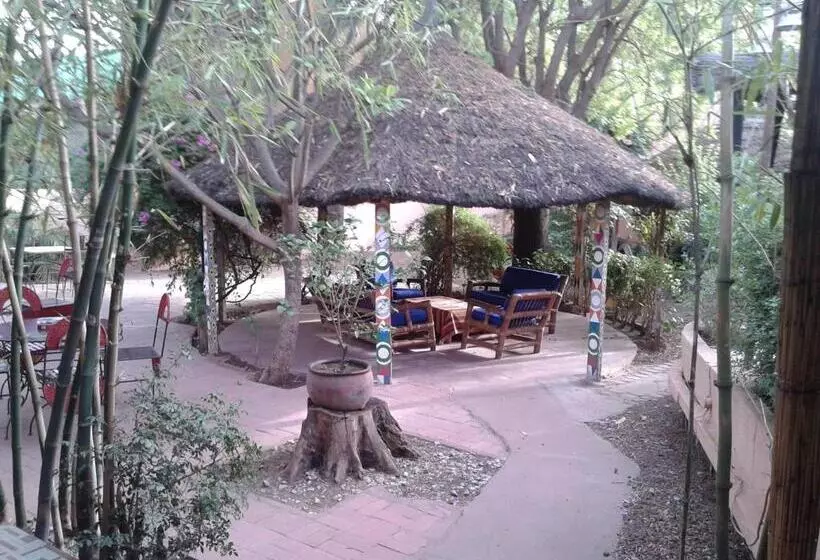 هتل Hôtel Les Palmiers