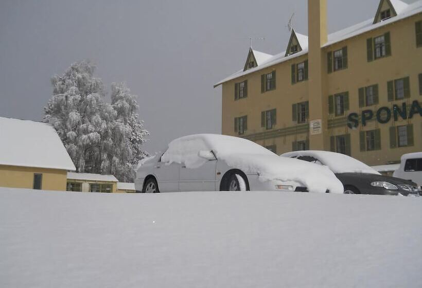 Отель Sponars Chalet