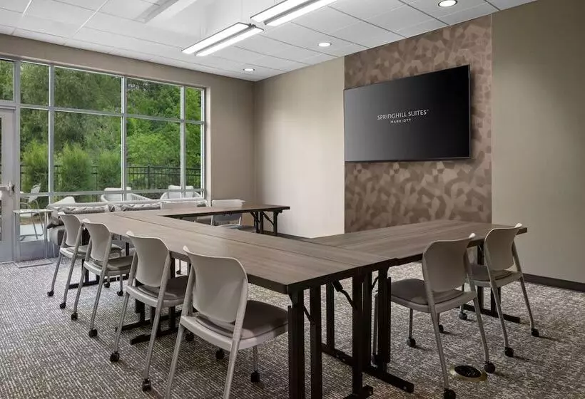 هتل Springhill Suites By Marriott Kalamazoo Portage