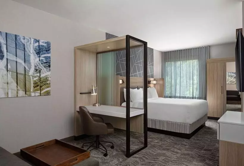 هتل Springhill Suites By Marriott Kalamazoo Portage