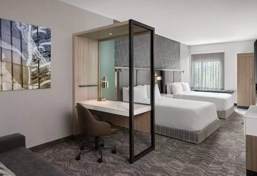 هتل Springhill Suites By Marriott Kalamazoo Portage