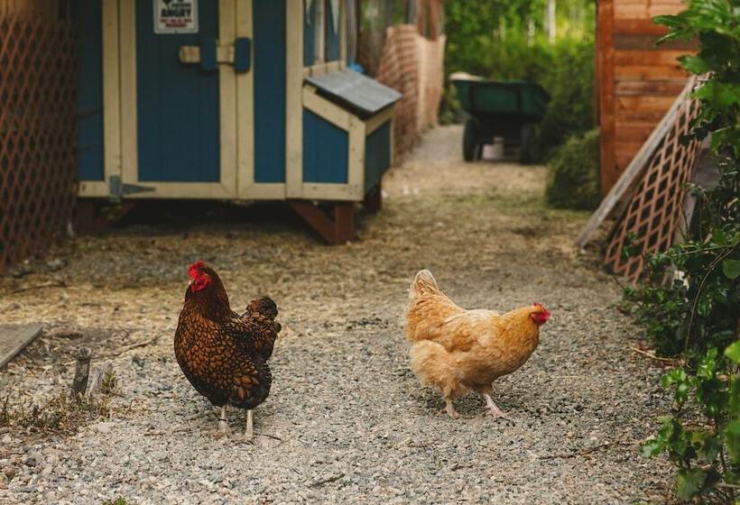 Iron Horse Inn Bed & Breakfast