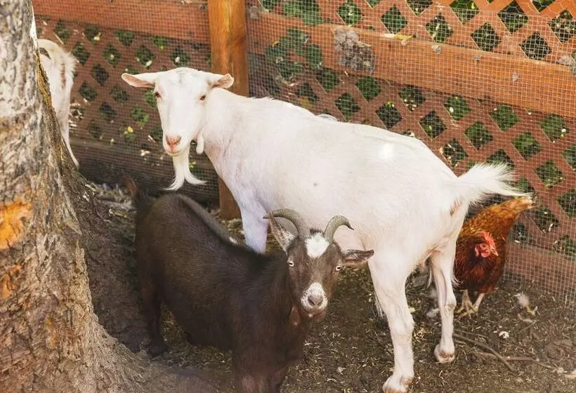 Iron Horse Inn Bed & Breakfast