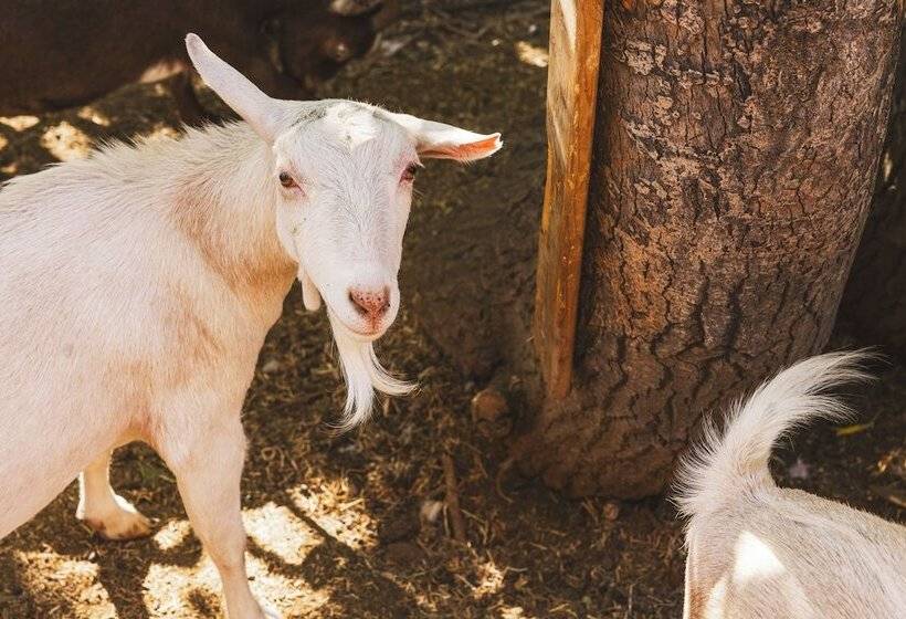 Iron Horse Inn Bed & Breakfast