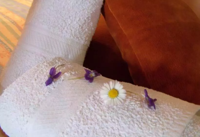 Jardins Du Castel Gîtes Annick Et J Paul